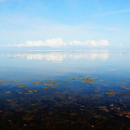 Белое море