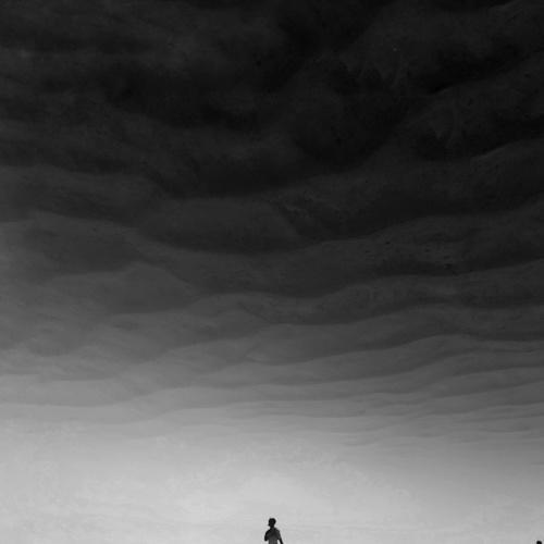 Photo #1811106