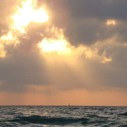 Photo #1811524