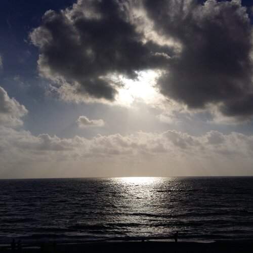 Photo #1811543