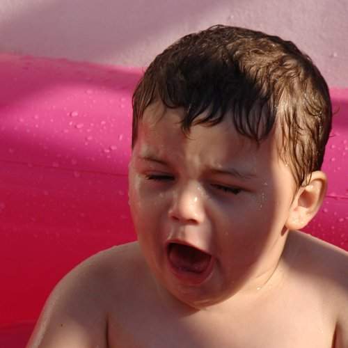 Photo #1811631