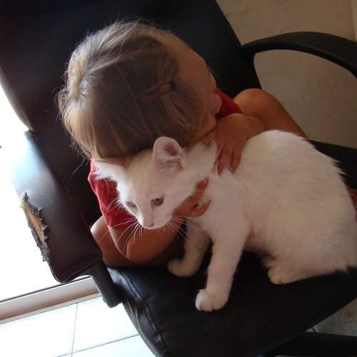 Photo #1811643