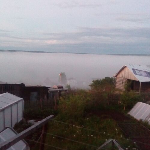 Туман