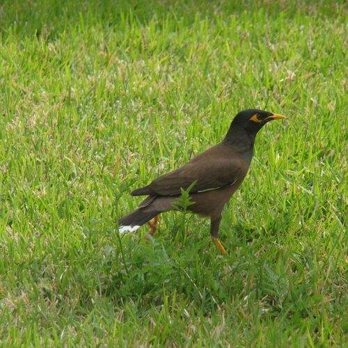 Photo #1812859