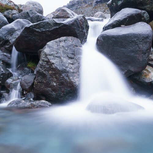 Photo #1813007