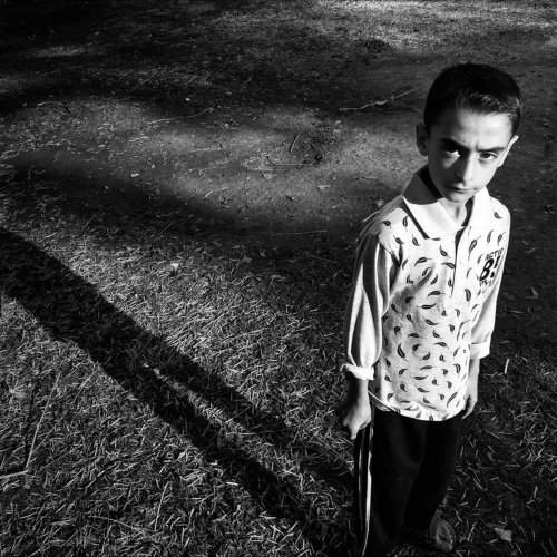 shadow and light