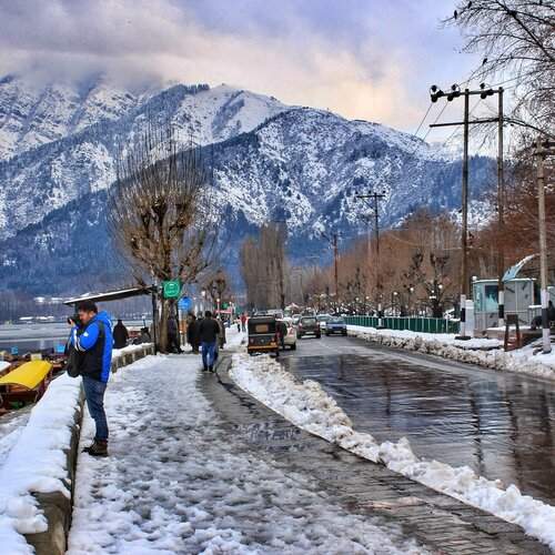 roadside of dal