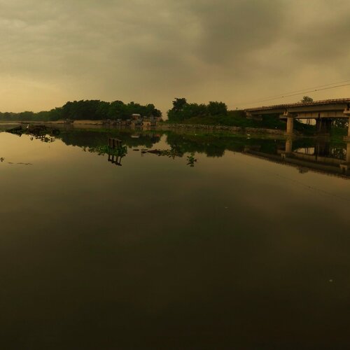A Blossom for Dzong & Bengal Bridge
