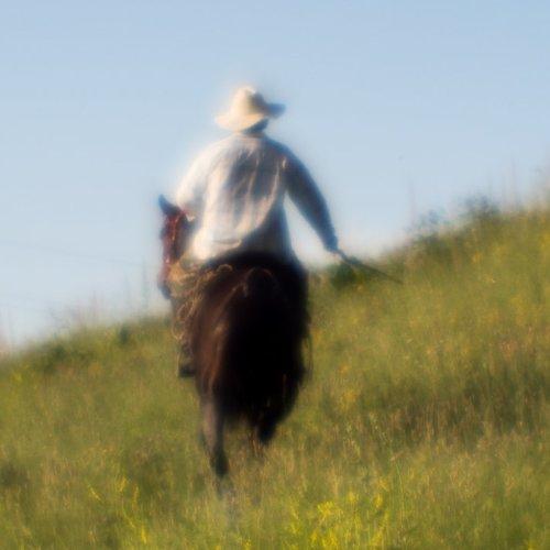 horseman in the field