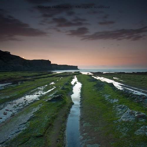The green way