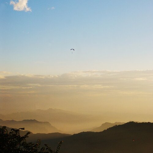 The flight