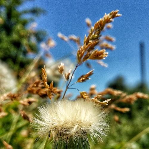 Photo #1822189