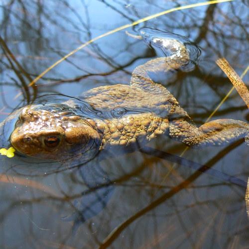 Photo #1822450