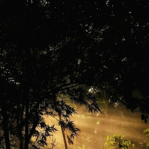 First Lights Of Morning