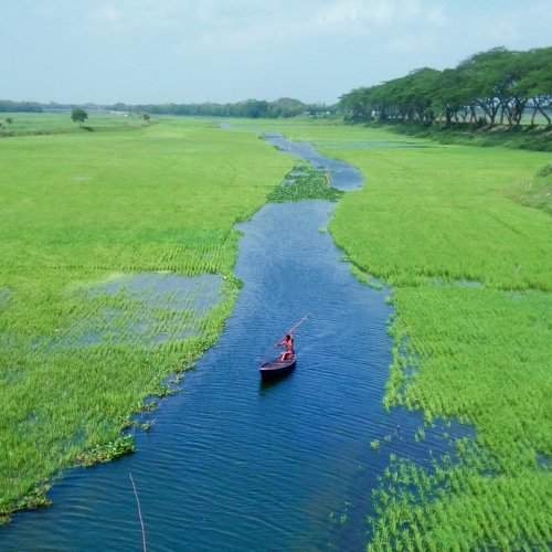 Green Bangladesh