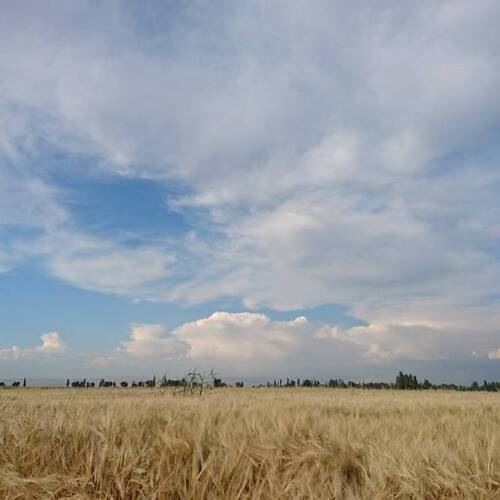 sky