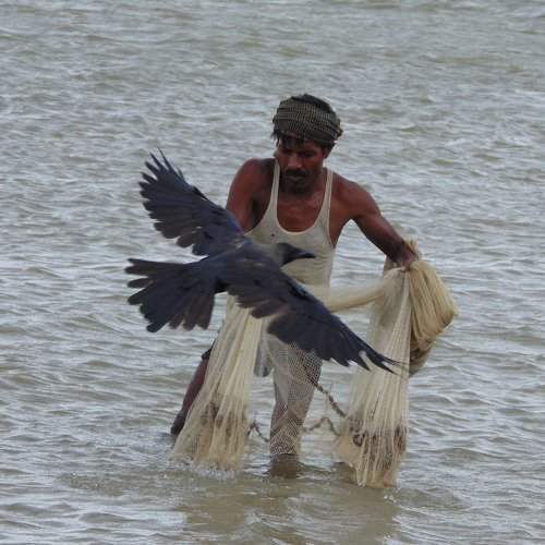 Relationship into fisherman and bird.