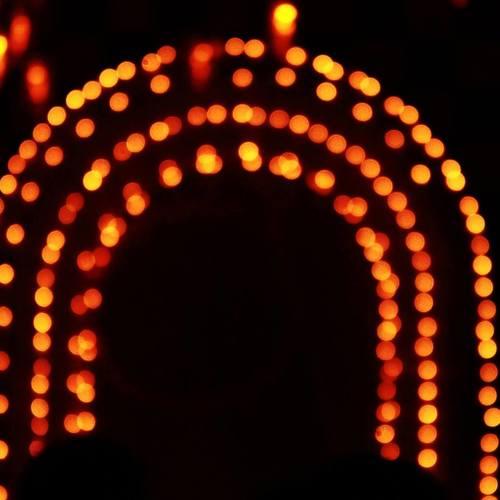 Bokhey of lights