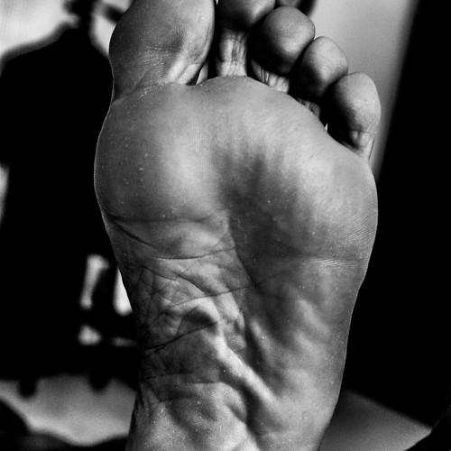 FootPrint