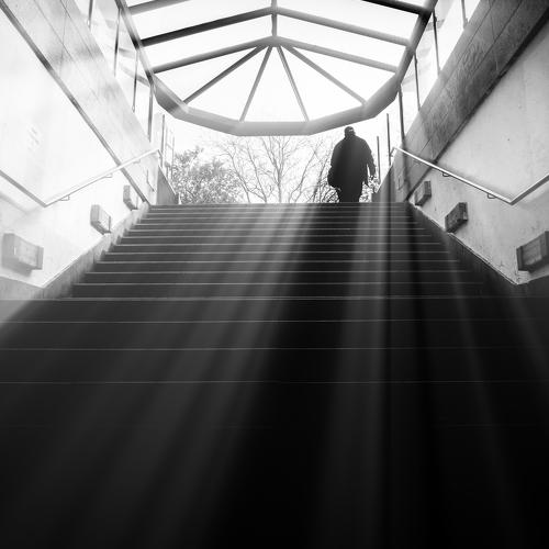 Rays of light