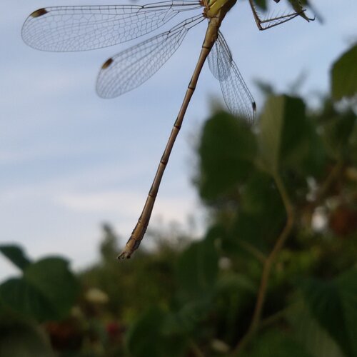 Photo #1829122