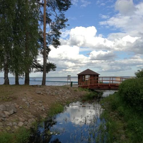 Одинокая бесетка