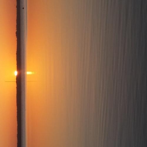 Photo #1829927