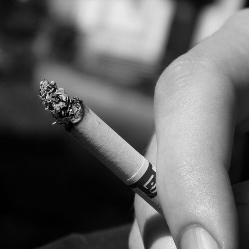 Photo #1831633