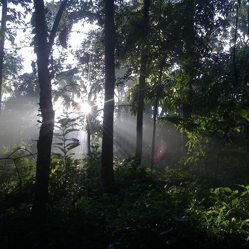 Rising sun is the Power &  inspiration of nature..... Cool morning