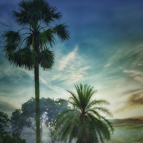 Beautiful Bangladesh