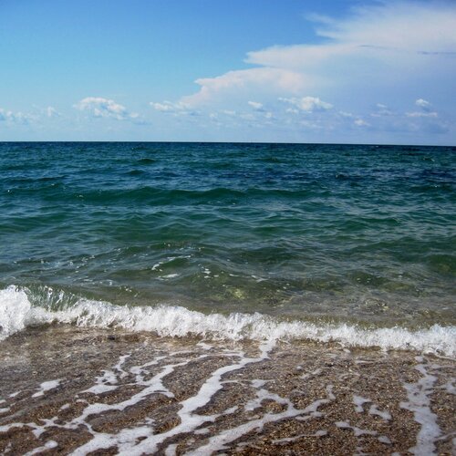 Черное море