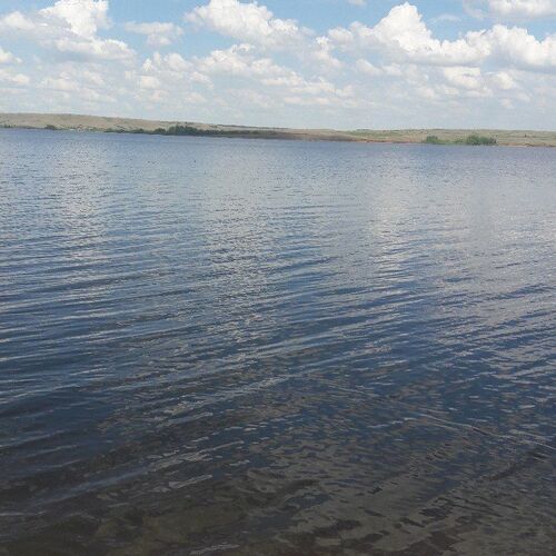 Photo #1833467