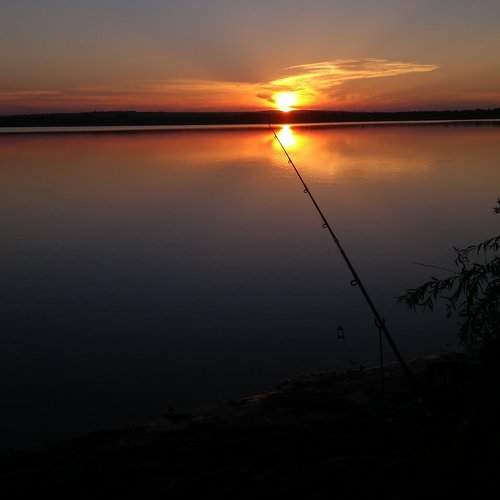 Photo #1835178