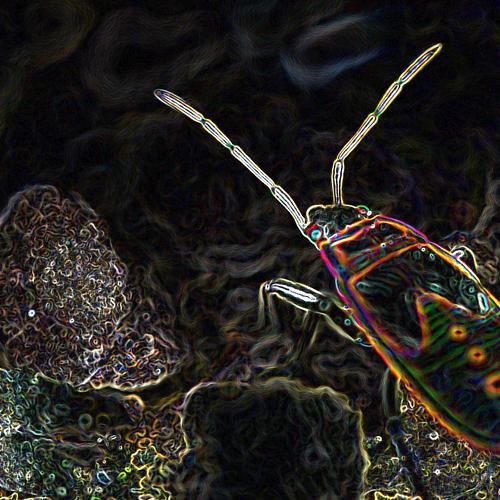 psychedelic nature