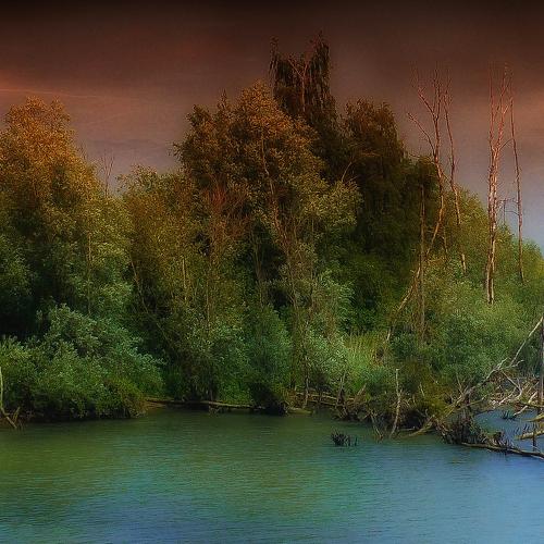 Biesbosch