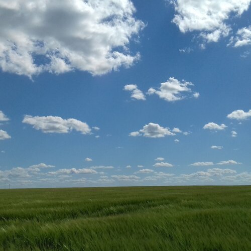 Photo #1836887