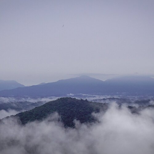 Photo #1837021