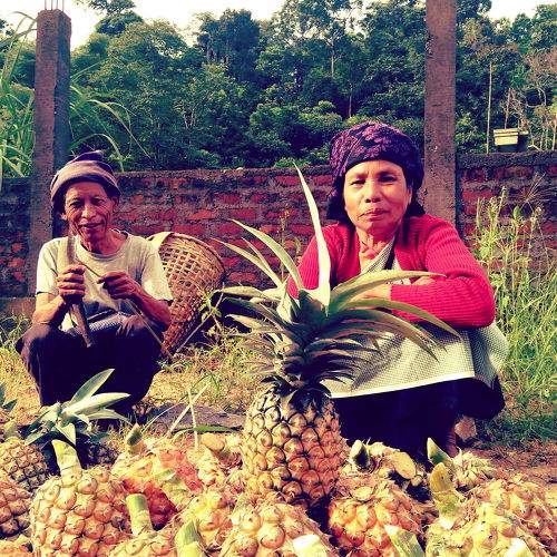 A Pineapple Couple