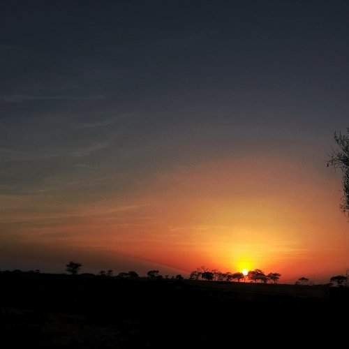 Photo #1837265