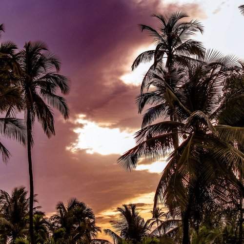 Sky is the canvas !