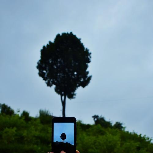 Perception