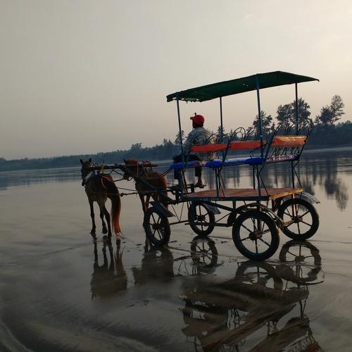 Baghhi