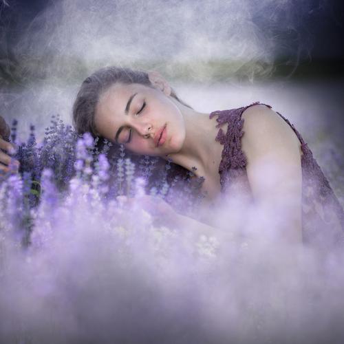 Summer dreaming
