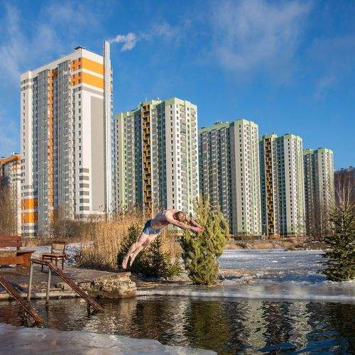 Морж в городе