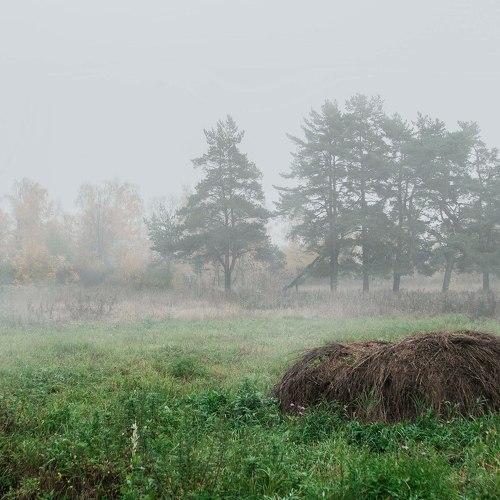 Photo #1842242