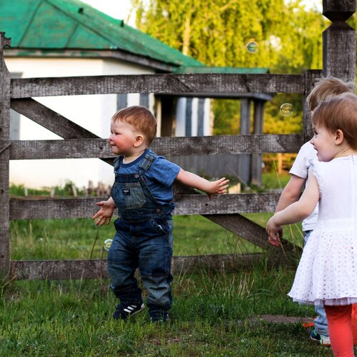 Photo #1843091