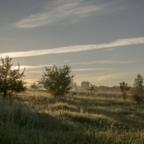 Рассвет.