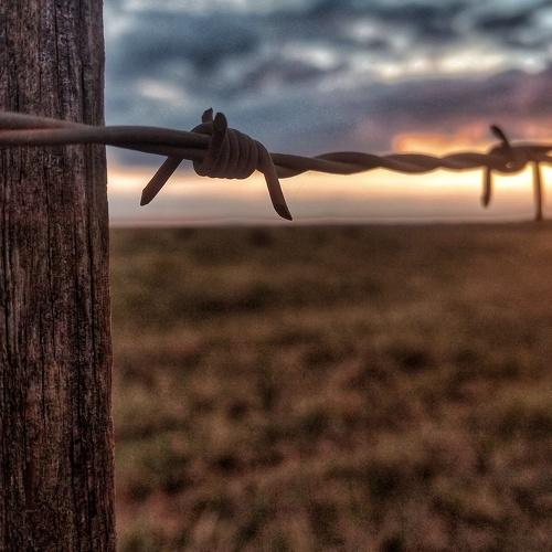Sunset ? There is no fence for a sunset