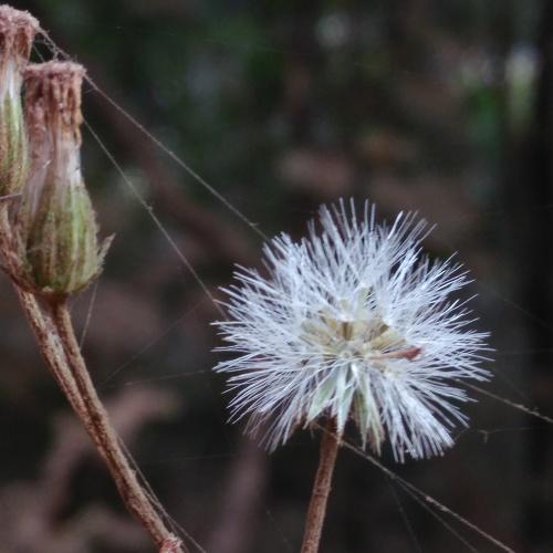 Beauty of nature