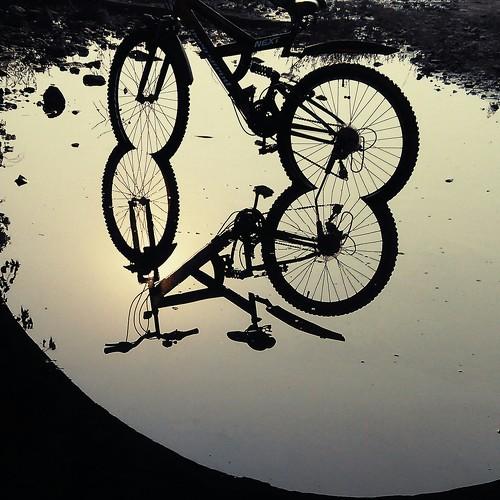 Reflection